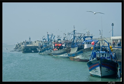 Essaouira 202