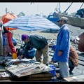 Essaouira 204