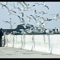 Essaouira 218