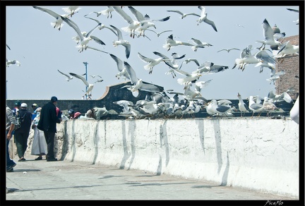 Essaouira 218