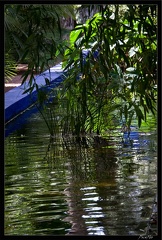 Marrakech jardins Majorelle 34