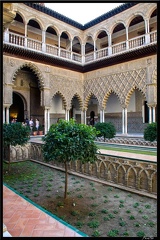 Seville 08 Alcazar 48