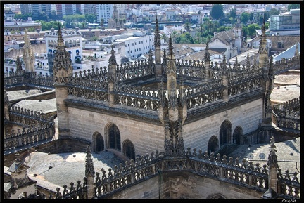 Seville 09 Quartier cathedrale 073