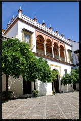 Seville 12 Santa Cruz 013