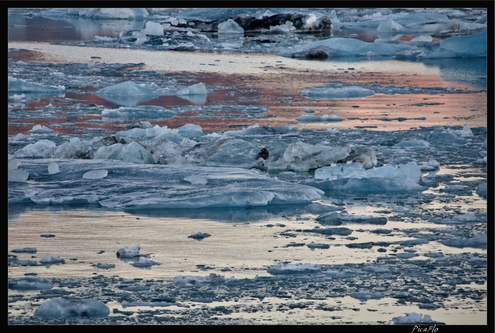 Islande 05 Skaftafell 026