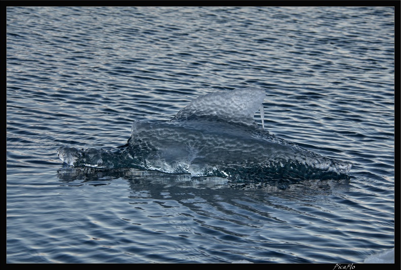 Islande_05_Skaftafell_031.jpg