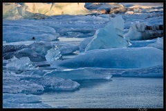 Islande 05 Skaftafell 050