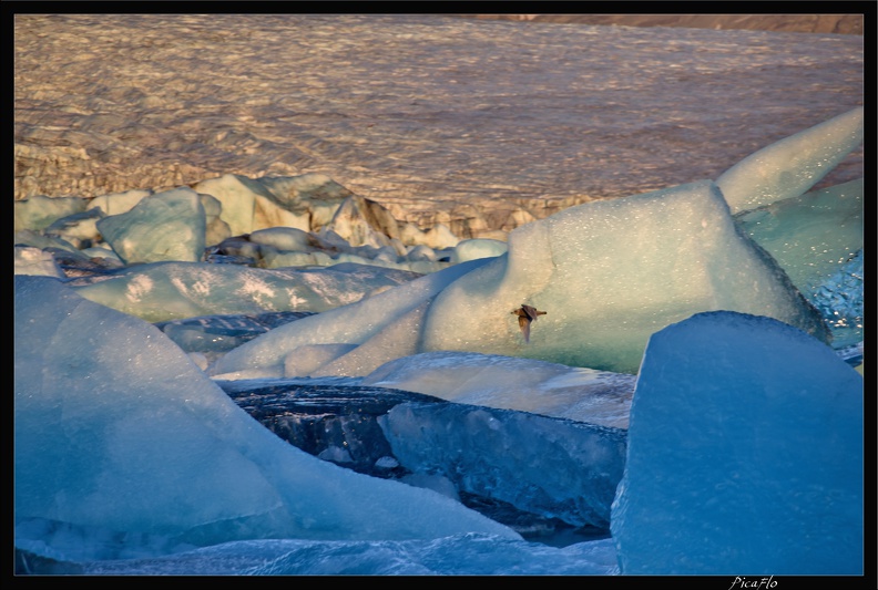 Islande_05_Skaftafell_052.jpg