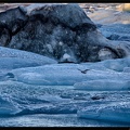 Islande 05 Skaftafell 055