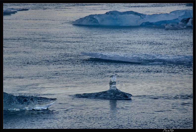 Islande 05 Skaftafell 062