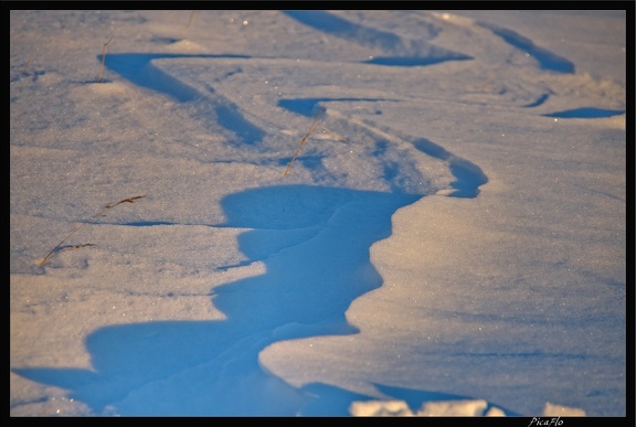 Islande 07 Skaftafell 029