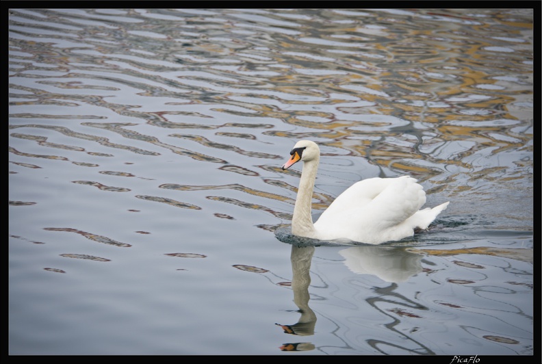 05 Christianshavn 20