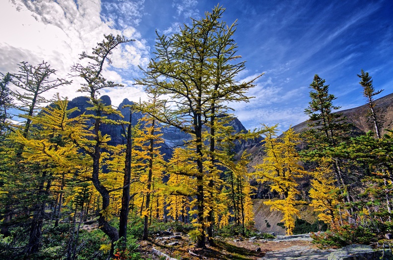 Canada_09_Lake_Agnes_Big_Behive_26.jpg