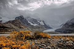 Canada 11 Glacier Athabasca 19