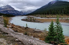 Canada 12 Sunwapta falls 01