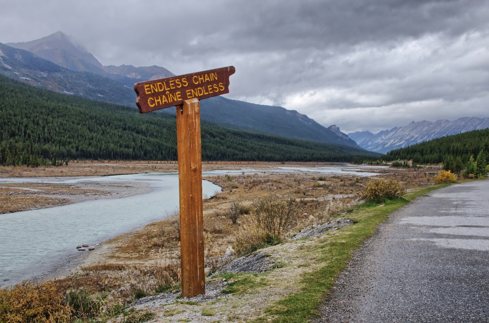 Canada 12 Sunwapta falls 02