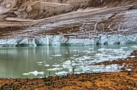 Canada 16 Angel Glacier 08