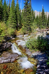 Canada 39 Iceberg Lake Trail 13