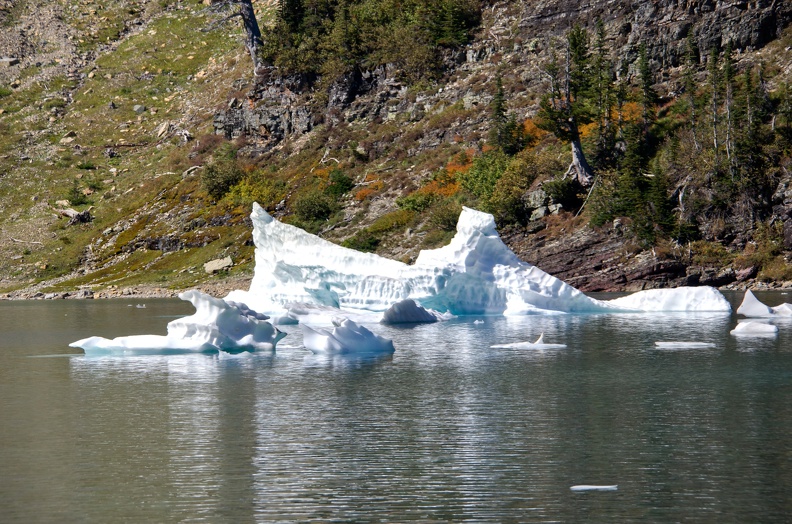 Canada_39_Iceberg_Lake_Trail_28.jpg
