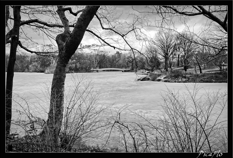 NYC_03_Central_Park_09.jpg