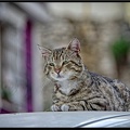 Istanbul 03 Sultanahmet 23