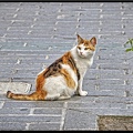 Istanbul 03 Sultanahmet 30