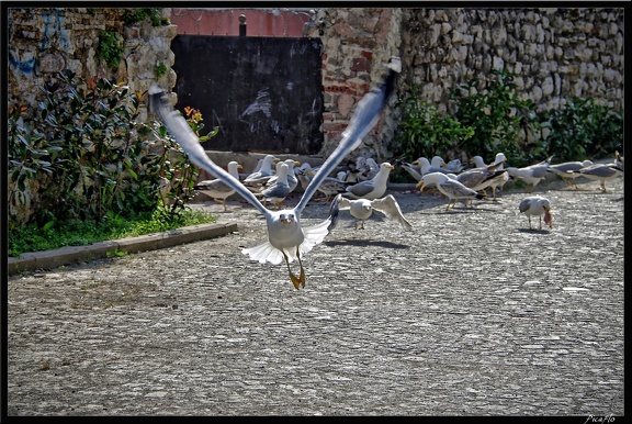 Istanbul 03 Sultanahmet 60