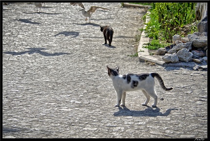 Istanbul 03 Sultanahmet 62