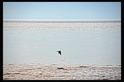 06 Ile aux Coudres 006