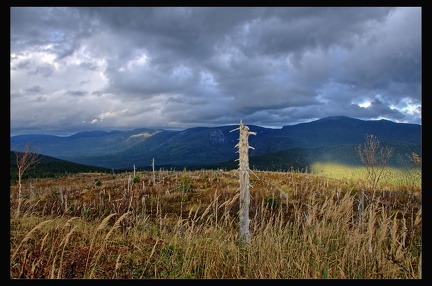 14 Parc National Gaspesie 049