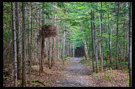 23 Parc du Bic 028