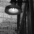 DSCF8263