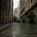 DSCF8442