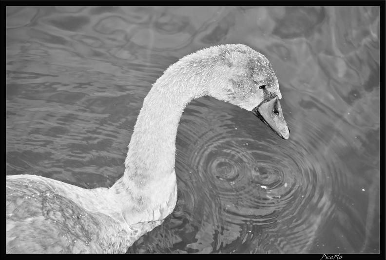 Paris canal 039