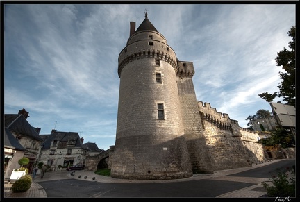 Loire 09-Langeais 005