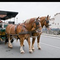 La Rochelle 040