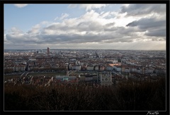 Lyon 038