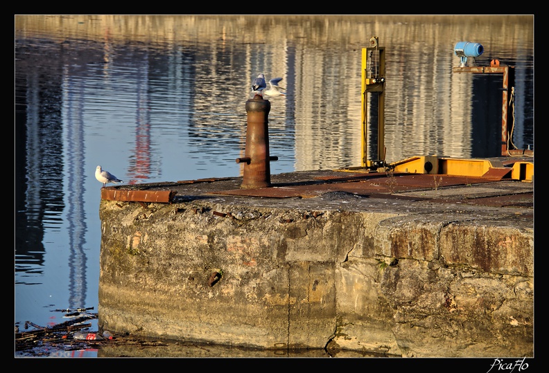 Bordeaux_020.jpg