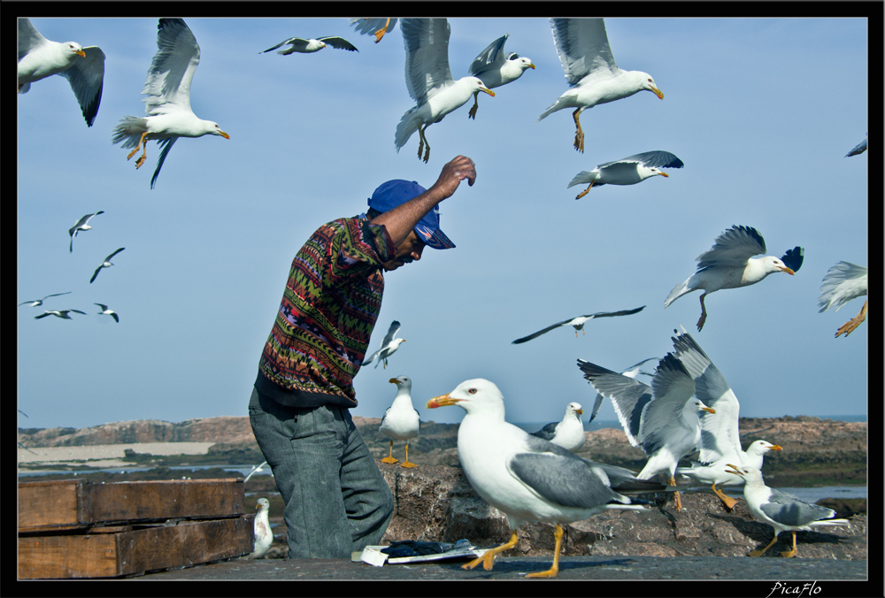 Essaouira 052