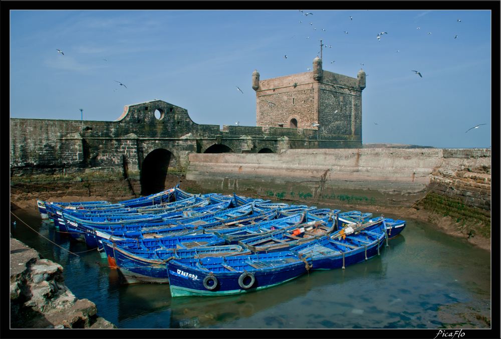 Essaouira 172