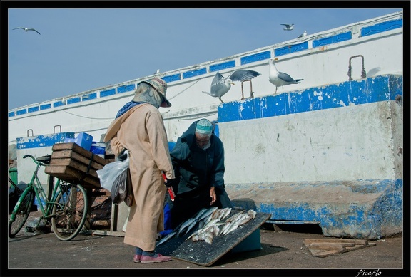 Essaouira 085