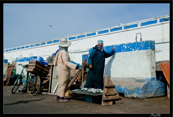 Essaouira 086