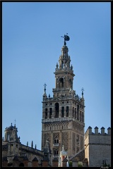Seville 09 Quartier cathedrale 093