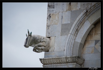 04 Pise Piazza del Duomo 45