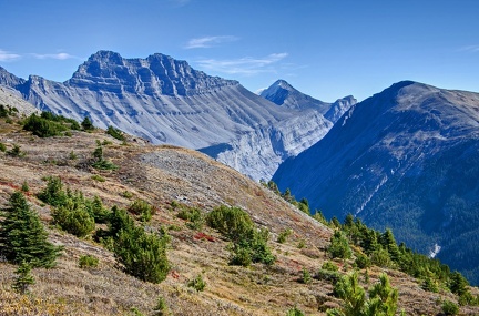 Canada 24 Parker Ridge trail 08