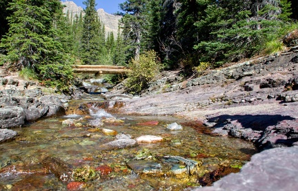 Canada 39 Iceberg Lake Trail 10