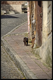 Istanbul 03 Sultanahmet 56